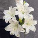 12 Bundles Lily Artificial Flower with 12 Head Full Bloom Lily & 24 Bud White Rhinestone Fake Flower Wedding Bridal Party Decor Home Hotel Bouquet Centerpiece Floral Arrangement