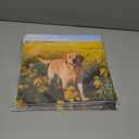 7 x 2026 Calendar, Wall Calendar 2026, Dogs 12 Month Wall Calendars (Jan - Dec 2026) 12" x 24" Opened, Hanging Monthly Calendar Thick Paper for Kids Family Adults Office Home