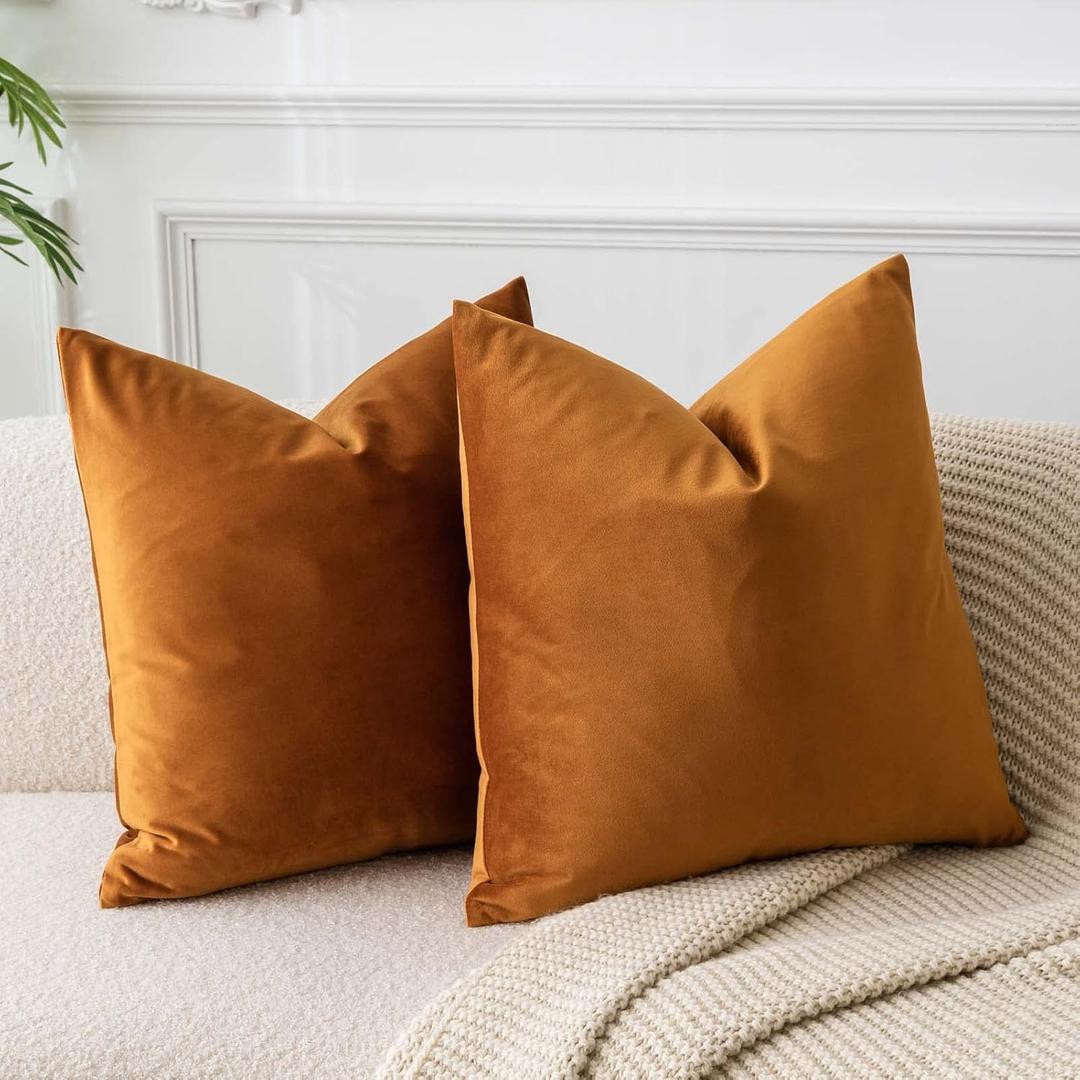 JUSPURBET Velvet Pillow Covers Set of 2 Decorative Throw Pillow Covers for Couch Sofa Bed Soft Cushion Covers Cases with Hidden Zipper for Living Room Home Decor 16x16 inch,Rust