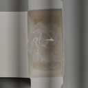 Momcozy Flange Insert 19mm Compatible with 24mm Flange/Shield of Most Pumps, Fit for Momcozy S9Pro/S12Pro/S12Pro-Quick Replacement Accessories, 4PCS 19mm (Transparent)