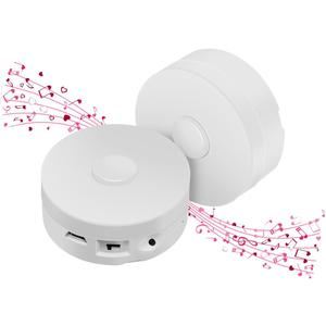 195 Seconds Message Voice Recorder, Voice Recording Button Record Custom Messages for Crafts, Stuffed Bear, Baby Doll,Pillow and Xmas Halloween New Year Birthday Presents White-2P