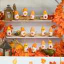60 Pcs Thanksgiving Gnome Decor Pumpkin Gnome Decorations Maple Leaf and Acorn Figures Resin Figures for Thanksgiving Fall Table Decor Vase Filler Dollhouse Fairy Garden Fall Cake Decoration