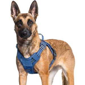 rabbitgoo Dog Harness for Large Dogs No Pull, Tactical Service Pet Vest with Molle and Control Handle, Adjustable and Reflective Military Harness for Easy Walking and Training, Blue, XL