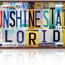 Vintage City License Plate Florida Sunshine State Wall Decor Metal Tin Sign for Bar Garage Room 12 x 6 Inches