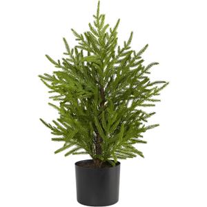 Nearly Natural 2ft. Norfolk Island Pine Natural Look Artificial Tree in Decorative Planter (Green)