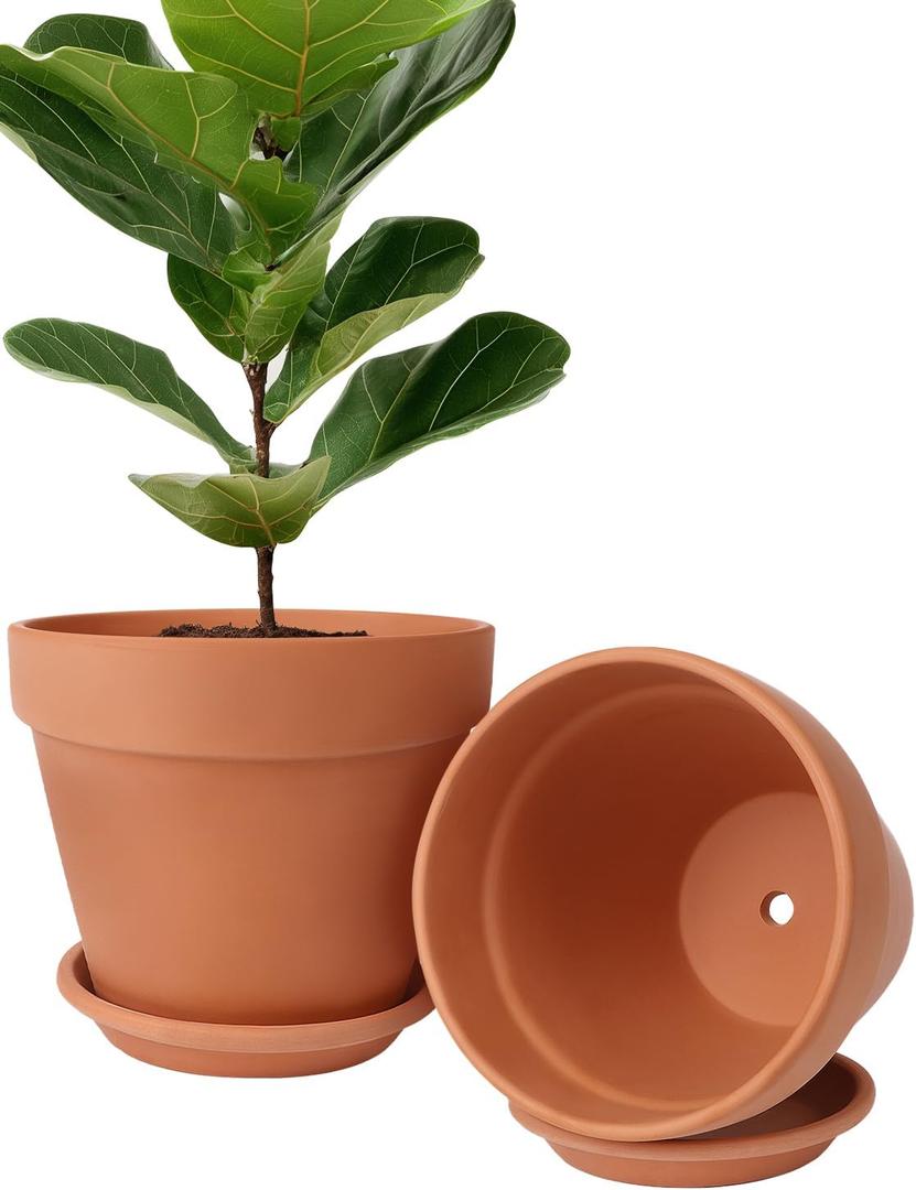INGOFIN Terracotta Pot Set of 2 with Saucer - 10 Inch Ceramic Clay Pot for Plants with Drainage Hole, Large Terra Cotta Flower Planter with Tray for Indoor Outdoor Plants  10/10 inch -2 pcs