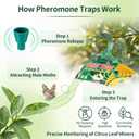 6 Pack Citrus Leafminer Trap & Lure with Pheromone Lures Triangular Hanging Sticky for All Varieties of Citrus Trees, Includes 6 Traps & 6 Lures, for Orchard & Garden Use
