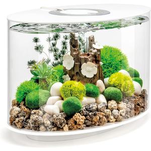 biOrb Loop 15 Acrylic 4-Gallon Aquarium with White LED Lights Modern Compact Tank for Tabletop or Desktop Display, White-Trimmed Tank