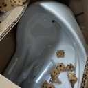American Standard Maybrook 0.125 – 1.0 gpf (0.47 – 3.8 Lpf) Top Spud Urinal, White