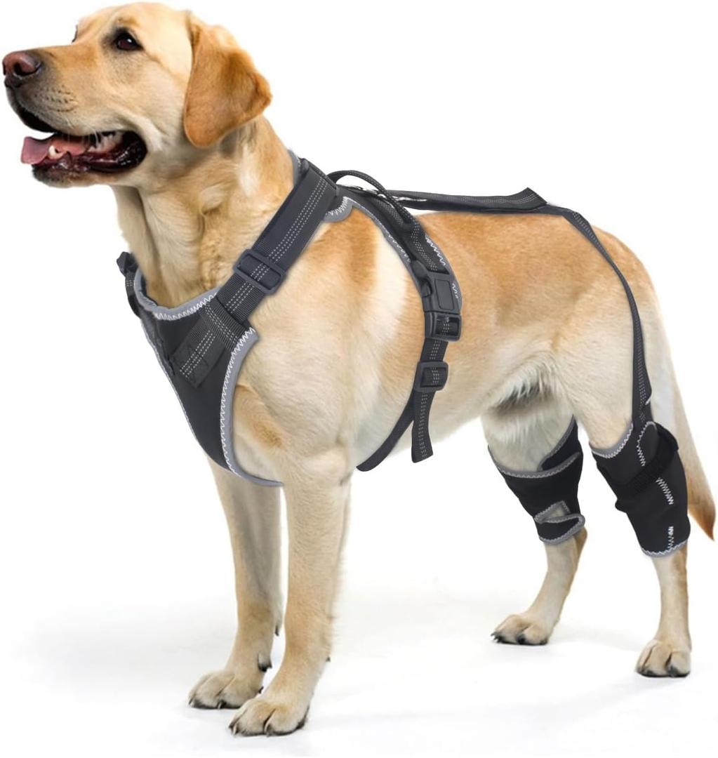 ELEGX Dog Knee Brace for Torn ACL & Hind Leg Support with Side Stabilizers Adjustable Dog Hip & Leg Brace with Handle for Cruciate Ligament, Arthritis Relief, Joint Stability & Injury Recovery, M (Black)