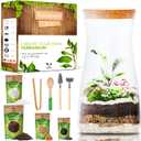 DIY Terrarium Kit for Adults Build Your Own SelfSustaining Closed Ecosystem 34floz (1Liter) Glass Terrarium Succulents, AirPlants, Fittonia, Fern Plants NotIncluded