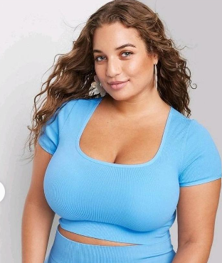 Wild Fable Women's Blue Crop-top, XL