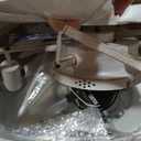 LEDIARY 30in White and Gold Caged Flush Mount Ceiling Fan
