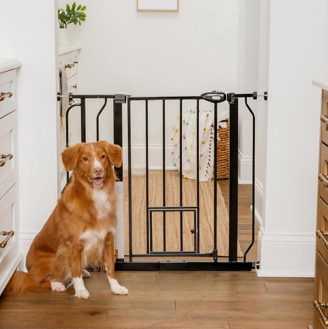 Carlson 29.536.5 Extra Wide Dog Gate with Small Pet Door, Walk-Through Pressure Mounted Metal Indoor Pet Safety Gate, Black, Tested and Trusted by Pet Parents, American Designed, American Owned