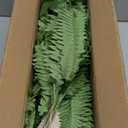 Senjie Artificial Boston Fern 2 Set 55 Branches Fake Ferns for Outdoors 32Inch Faux Plant for Home Living Room Office Decor