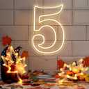 RumonZS Number 5 Light Up LED Neon Sign Backdrop 15.9" Birthday Party Decor Warm White Number One Light Up Sign USB Powered Big Number Sign Light for Birthday Night Light Party Anniversary Wedding