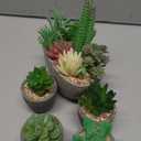 Succulents Plants Artificial Set of 5, Realistic Fake Succulents with Cement Like Pots for Home Office Decoration. (Type1)