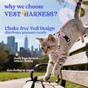 rabbitgoo Cat Harness and Leash for Walking, Escape Proof Soft Adjustable Vest Harnesses for Cats, Easy Control Breathable Reflective Strips Jacket, Purrty Pink, M