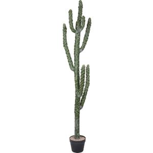 62Inch Artificial Cactus Faux Cacti Fake Cactus Saguaro Potted Plants for Indoor Outdoor Home Offices Store Decoration