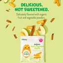 Little Bellies Organic Apple & Cinnamon Puffs Baby Snack (Pack of 18 x 0.42 oz Individual Packs) (EXP 10/29/25)