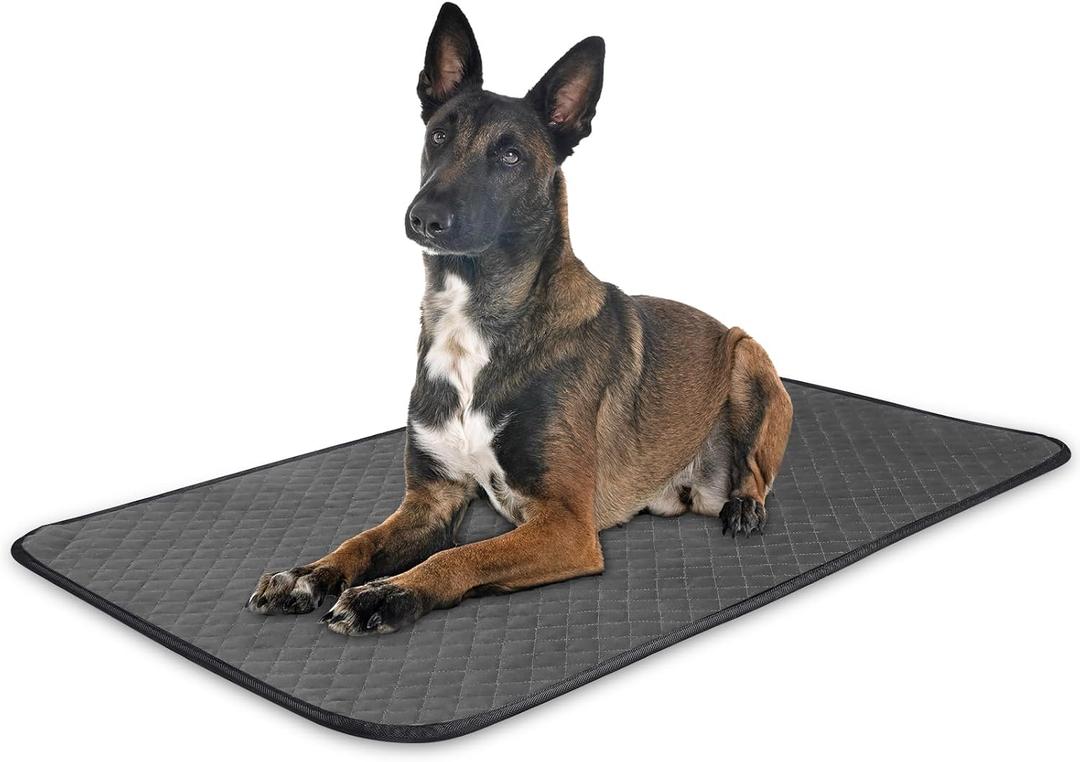 Chew Proof Dog Crate Bed Pad, Enhanced Quilted Indestructible Dog Kennel Pad for Aggressive Chewers, Washable Dogs Mat for Crate, Water Resistant Kennel Pads for Teething Puppy (Gray, 35"x23")