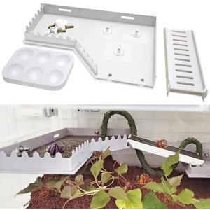Hermit Crab Accessories - Platform with Ladder and Food Dish, Hermit Crab Climbing Toys, Habitat Supplies and Tank Accessories for Reptiles, Hamsters, Geckos, Small Lizards (White)