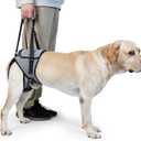 Dog Lift Harness, TORJOY Dog Sling for Small Medium Large Dogs, Dog Support Harness for Back Legs, Adjustable Soft Padded Pet Harness for Olderly, Injured, Arthritic, Disabled Dogs, Grey, S