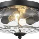 Darkaway Ceiling Light Fixtures Flush Mount Indoor Outdoor Ceiling Light with Water Ripple Glass Shade for Hallway Kitchen Bedroom Porch Living Room Black Finish