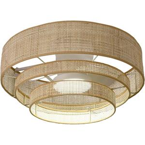 20 inches Low Profile DC Small Boho Wicker Ceiling Fan with Light Fixture and Remote,Enclosed Bamboo Rattan Caged Flush Mount Bladeless Wooden Fandelier for Kitchen Bedroom Indoor