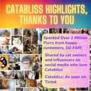 Catnip for Cats  1oz Jar - 100% Essential Natural Cat Nip Herb Resealable Jar - Fresh Aroma Stimulates Activity & Enhancing Play for Indoor Cats - Great for Cat Nip Toys, Play & Training