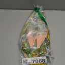 Large Fairy Wings for Adult Dress Up, Sparkling Sheer Wings, Butterfly Fairy Halloween Costume, Angel Wings for Women (Gold)