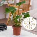 Climbing Plant Stem Support, Metal Gold Plant Stem Holders, Monstera Plant Growth Stakes Trellis for Indoor Outdoor Garden