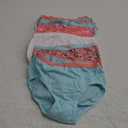 Fruit of the Loom Toddler Girls' Toddler Girls' Tag-free Cotton Underwear 4-5T