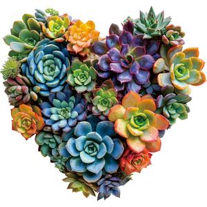 Mys Aurora Puzzles for Adults 500 Pieces, Heart Succulent Jigsaw Puzzles, Unique Shaped Wooden Puzzles for Adults and Kids， Fun Challenging Family Plant Puzzle Game 17.5'' x 16.7''