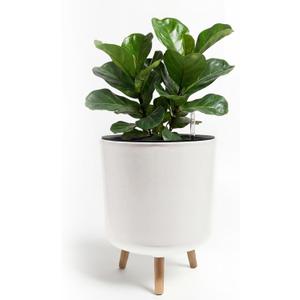 Bamworld Self Watering Pots for Indoor Plants with Water Level Indicator 12 inch Plant Pot Plastic Planter with Wooden Stand for Outdoor Plants Modern Dcor for Porch Patio White Large