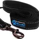 Max and Neo Reflective Nylon Dog Leash - We Donate a Leash to a Dog Rescue for Every Leash Sold (Black, 6 FT)