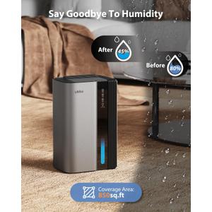 Dehumidifiers for Home