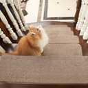 COSY HOMEER Stair Treads Non-Slip Carpet Mat 28inX9in Indoor Stair Runners for Wooden Steps, Stair Rugs for Kids and Dogs, 100% Polyester TPE Backing 10pcs,Beige,Protect Floor