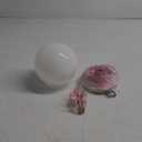 Westinghouse 6660700 Interior Ceiling Fixture 60 Watts, White Finish with Glass Globe