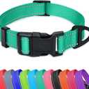 Taglory Reflective Adjustable Dog Collars for Puppy Small Medium Large Dogs, Thin Nylon Webbing and Quick Release Plastic Buckle(Teal Green, X-Large) (XL(1.25"x18-28"))