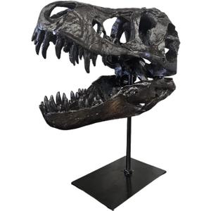 Dinosaur Skull Statue,Dinosaur Sculptures Bracket Tyrannosaurus Skull Replica Decoration Skull Bones Resin Replica with Bracket for Home Office Decor Shelf Display, Black