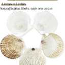stonechic 50PCS Scallop Shells for Crafts Large 4''-5'' White Beach Natural Shells Bulk for Decoupage DIY Crafts Seashell Decorations Home Decor