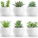 Der Rose Set of 6 Succulents Plants Artificial in Pots Small Fake Plants for Bedroom Aesthetic Living Room Shelf Bathroom Decor Office Desk Accessories (Green)
