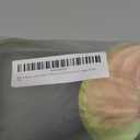 Jiumengya 8pcs Artificial Anthurium Flower Branch 60cm 3D Printing Effect Faux Real Touch Single Stem per Piece Anthurium for Home Table Floral Decoration (chamapgne with Ligth Green)