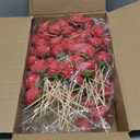 100 Pieces Rose Toothpicks Derby Horse Racing Cocktail Appetizer Skewer Bamboo Decoration Picks for Wedding Valentine Holiday Party Supplies