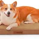 Orthopedic Dog Bed Medium Size Dog, Memory Foam Dogs Bed for Medium Dogs, Washable and Removable Microsuede Cover, Waterproof Liner, Non-Skid Bottom, 35x23x6 Inches, Khaki (Upgraded Version-Khaki)