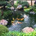 Adroiteet 20 x 25 FT Pond Liner, 20 Mil Fish Pond HDPE Liner, Pond Liners for Outdoor Ponds, Koi Ponds, Garden Fountain, Waterfall