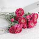 IPOPU Hot Pink Flowers Fake Peonies Artificial Ranunculus Flowers 6pcs 18Heads Hot Pink Silk Flowers 20.47" for Faux Floral Arrangements Wedding Bouquets Home Table Decor