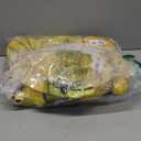 Women's Halloween Bee Costume Bee Queen Cosplay Dress, Wings, Headband, and Arm Sleeve Party Fancy Dress No size