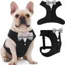 AVERYDAY Dog Tuxedo for Wedding Outfit, Dog Suit and Tie Costumes for Birthday, Halloween, Cosplay, Christmas Party, Pet Formal Wear with Bowtie, Tux forDogs, Bulldog, Labrador, Husky  Black Tux+Silver Tie, M (Chest 20.5-27.6 in)